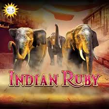 Indian Ruby Erfahrungsbericht Indian Ruby Erfahrungsbericht